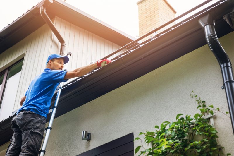 Clogged Gutter Clearing in Baltimore, MD