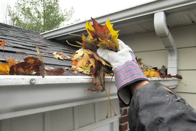 Gutter Leaves Removal in Bergen County, NJ