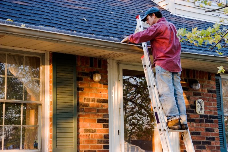 Gutter Maintenance in Long Island, NY