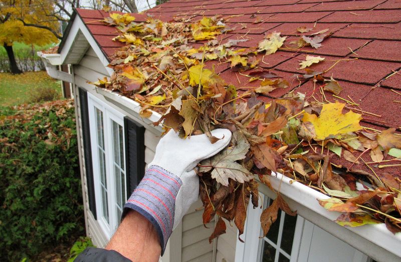 Rain Gutter Clearing in Rochester, NY