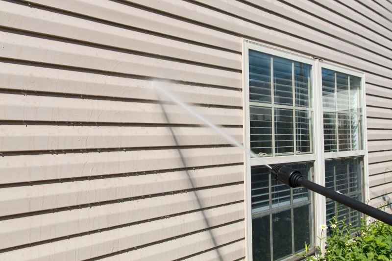 Removing Mold and Mildew